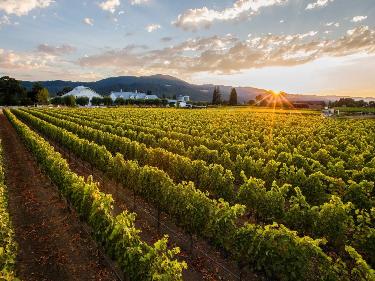 2022 Post & Beam Cabernet Sauvignon 750ml